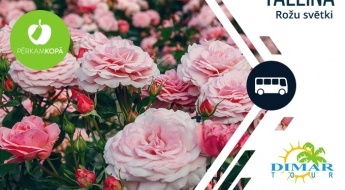 Праздник Моря, время цветения роз и экскурсия по Старому городу Таллина 18.07