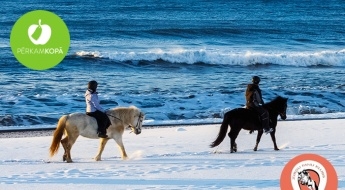 Pastaiga zirga mugurā gar jūras krastu, individuālas jāšanas nodarbības vai izjāde ar poniju bērniem