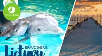 Vienas dienas brauciens uz Klaipēdu: Delfīnu šovs, Jūras muzejs, akvārijs un ekskursija pilsētā 30.03.