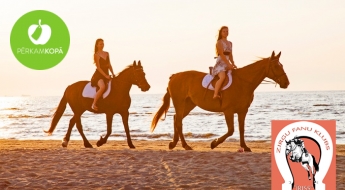 Прогулка на лошади вдоль берега моря, поездка на повозках и прогулка верхом на пони для детей