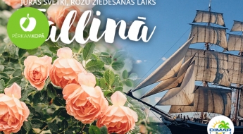 Jūras svētki, rožu ziedēšanas laiks un ekskursija pa Vecpilsētu Tallinā 16.07.