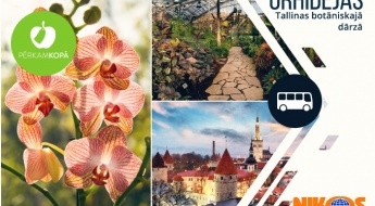 Выставка Орхидей в ботаническом саду Таллина + обзорная экскурсия в Таллине 07.03.2020