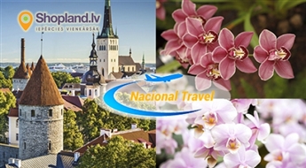 Nacional Travel: Поездка в Таллин, морской музей + ботанический сад и выставка Орхидеи! 03.03.2018