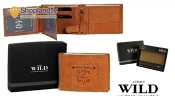 Loren,Always Wild: kомпактный кошелек-визитница и  хранения денег для мужчины!